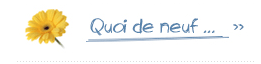 Quoi de neuf Soins Est&eacute;tiques